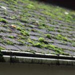 Local Roof moss removal contractors Nottinghamshire, Derbyshire & Lincolnshire