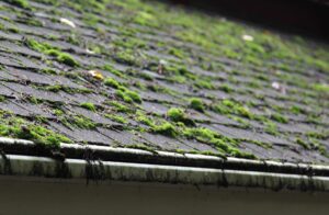 Local Roof moss removal contractors Nottinghamshire, Derbyshire & Lincolnshire