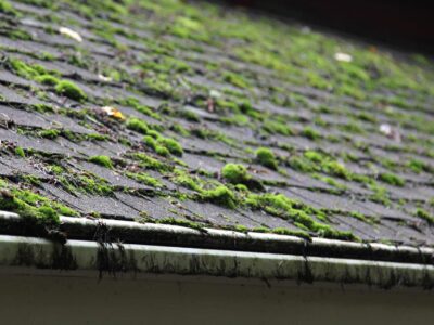 How much does roof cleaning cost Beeston