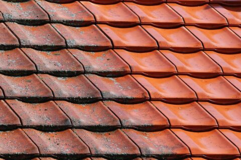 Roof Cleaner Beeston