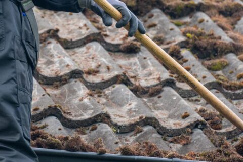 Nottinghamshire, Derbyshire & Lincolnshire Roof Moss Removal Experts