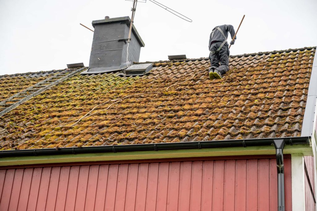 Roof moss removal services Nottinghamshire, Derbyshire & Lincolnshire
