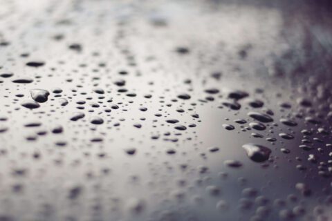 Professional Damp Proofing in Nottinghamshire, Derbyshire & Lincolnshire